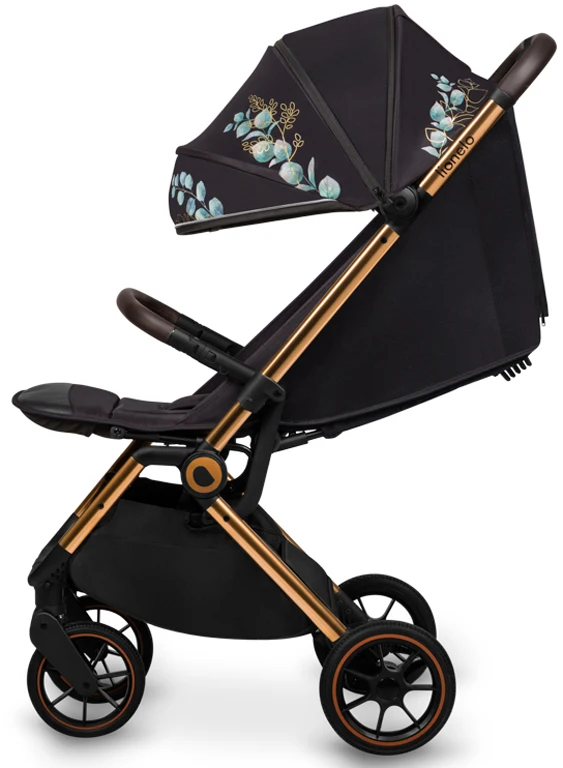Коляска прогулянкова Lionelo Cloe GOLDEN MOMENTS